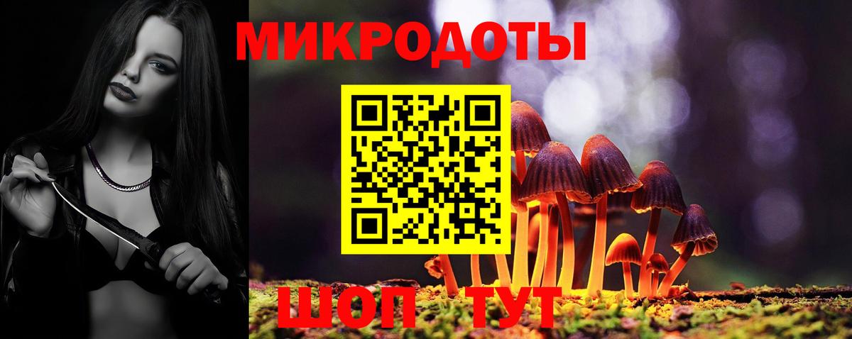 Курчалой  Галлюциногенные грибы Psilocybine cubensis  Вход с VPN 